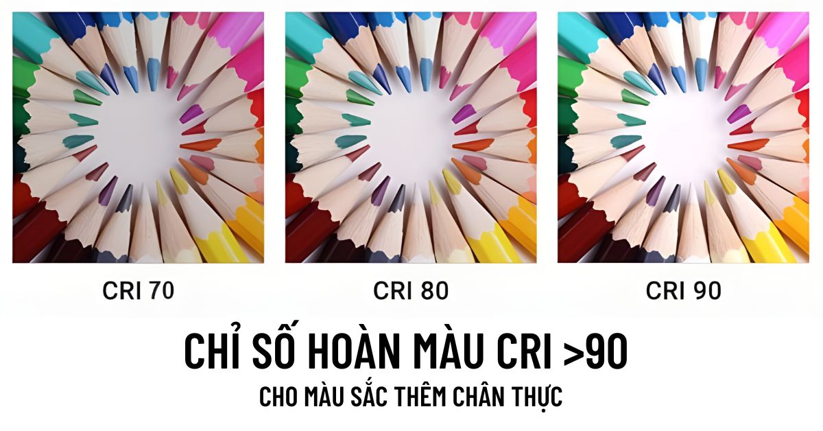 CHỈ SỐ HOÀN MÀU CRI>90 - CHO MÀU SẮC THÊM CHÂN THỰC
